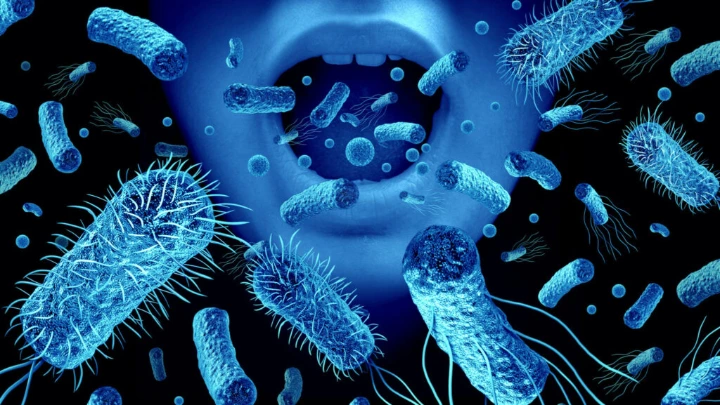 Infografis hubungan mikrobioma mulut dengan penyakit jantung diabetes dan kesehatan sistemik