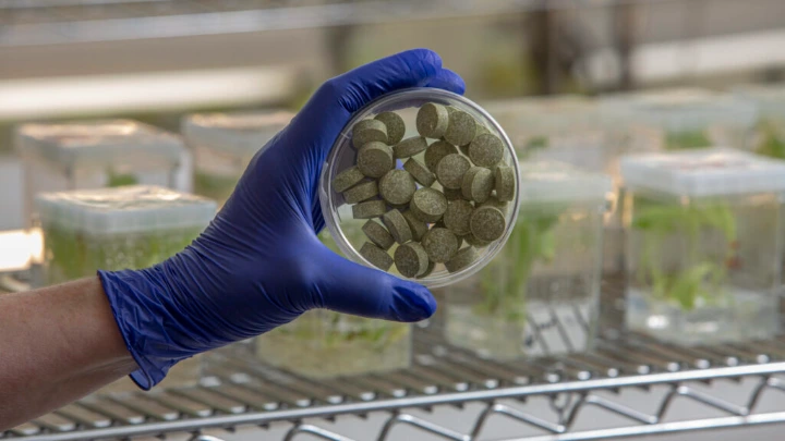 Teknologi permen karet bioengineered university of pennsylvania untuk pencegahan mikroba kanker mulut 2026