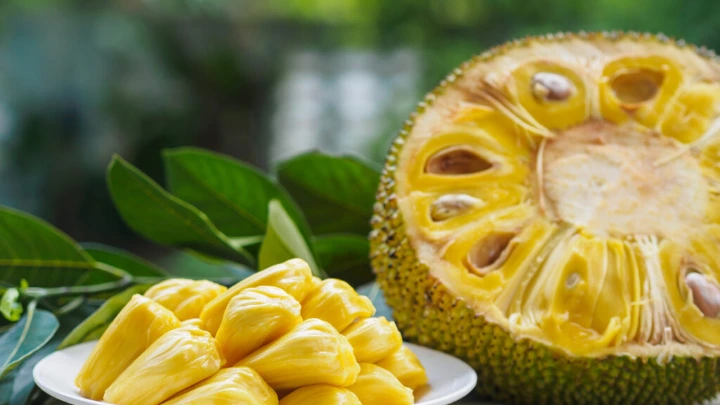 Inovasi Biomaterial Getah Nangka