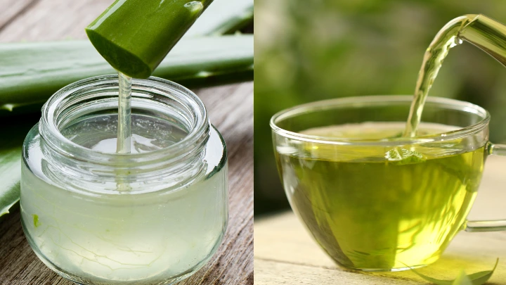 Efikasi Obat Herbal Rongga Mulut