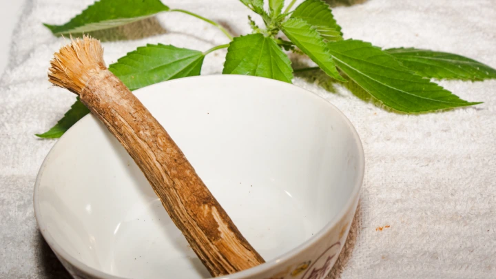 Siwak, Kumur Minyak, Pasta Herbal: Seberapa Ampuh Rawat Gigi?